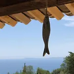 Nouveau ! Pleine Nature Et Vue Au Lavandou Villa *