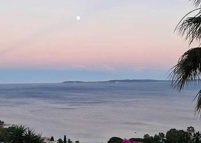 Nouveau ! Pleine Nature Et Vue Au Lavandou Villa